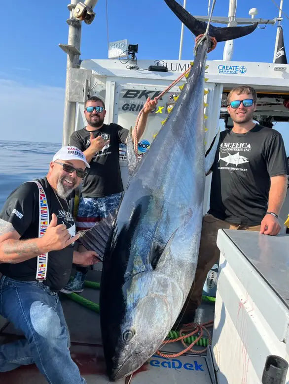 Three anglers with a giant tuna and Opsin fluorocarbon field proof