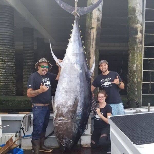 Tuna landed on Opsin 200 lb fluorocarbon